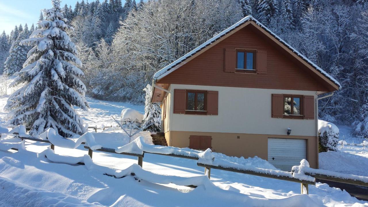 Le Bois Joli Chalet 4 Etoiles Cledicihome Cadre Paisible En Lisiere De Foret Gérardmer Εξωτερικό φωτογραφία