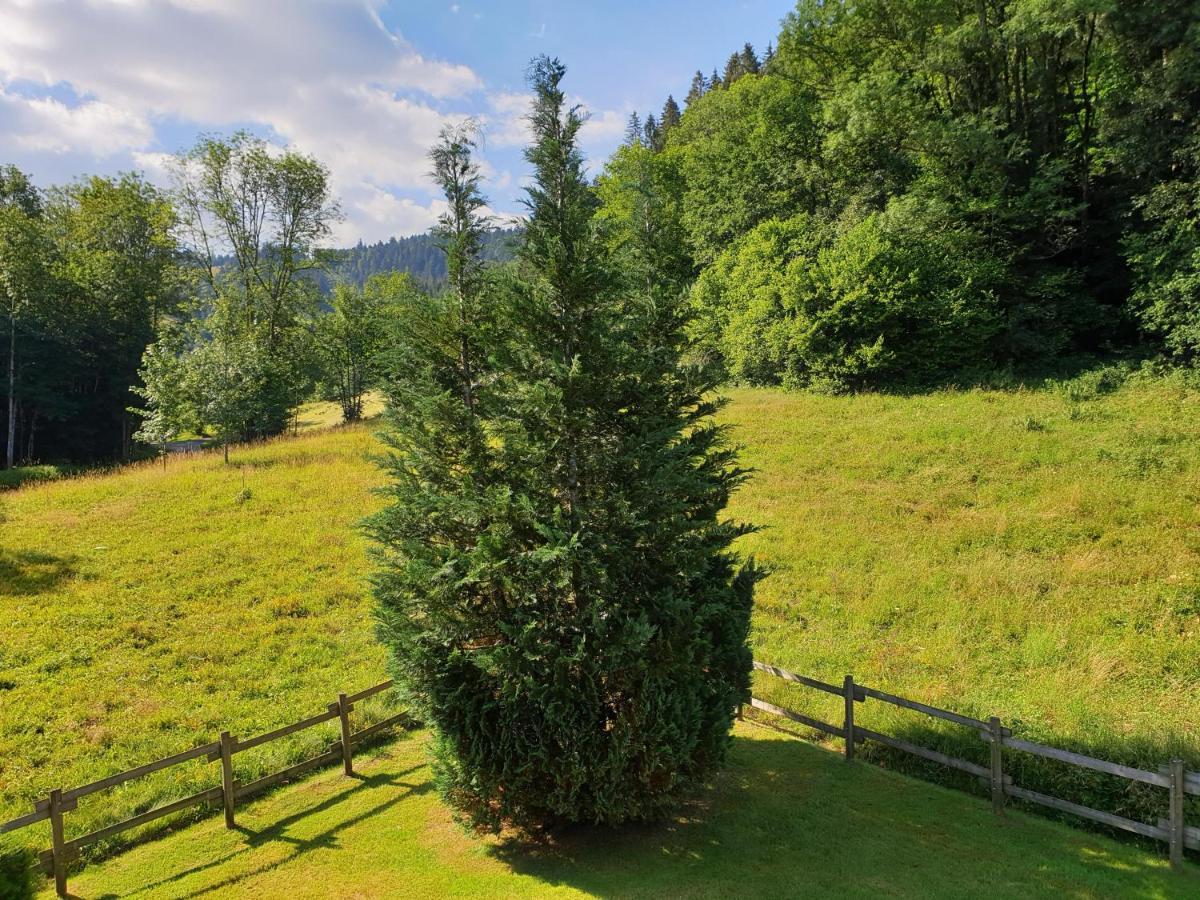 Le Bois Joli Chalet 4 Etoiles Cledicihome Cadre Paisible En Lisiere De Foret Gérardmer Εξωτερικό φωτογραφία