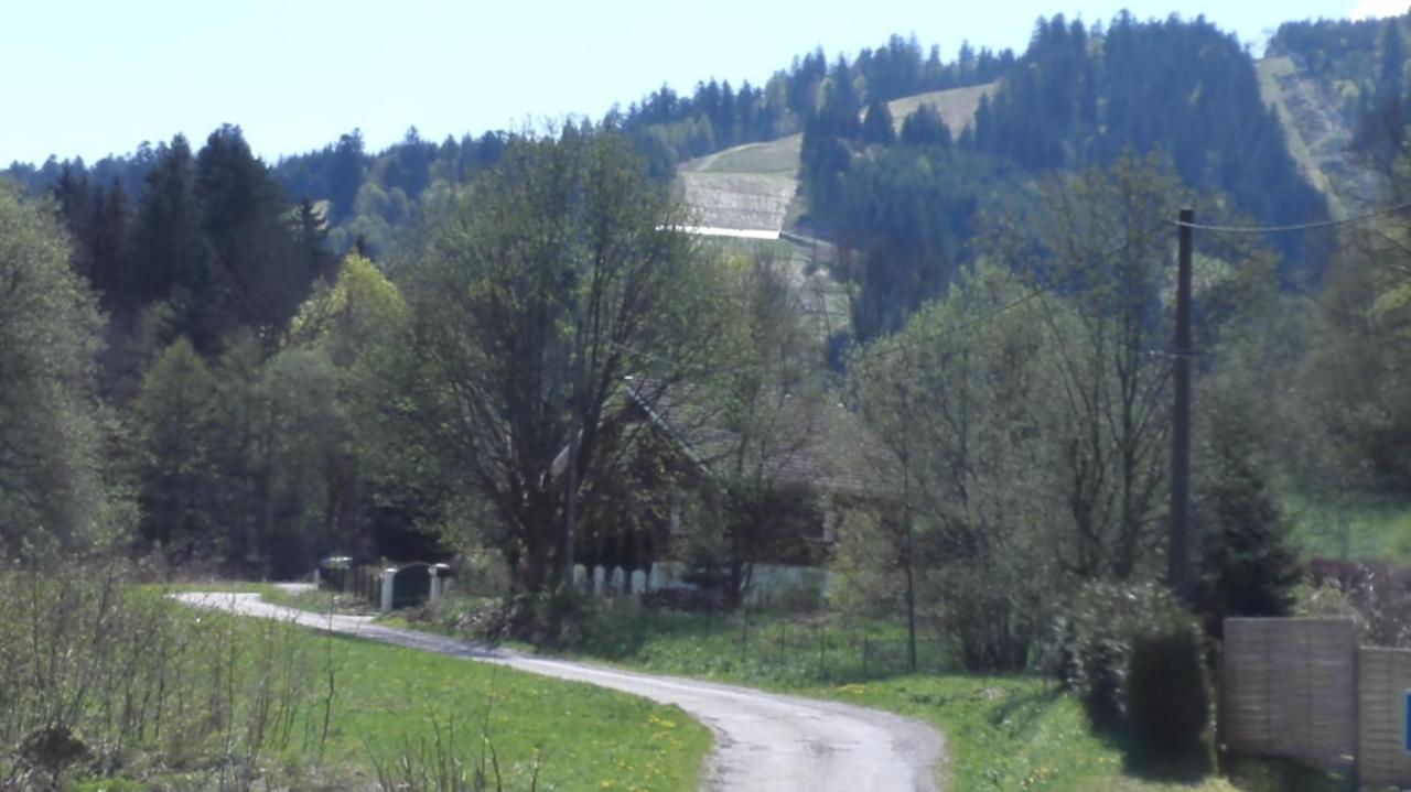 Le Bois Joli Chalet 4 Etoiles Cledicihome Cadre Paisible En Lisiere De Foret Gérardmer Εξωτερικό φωτογραφία
