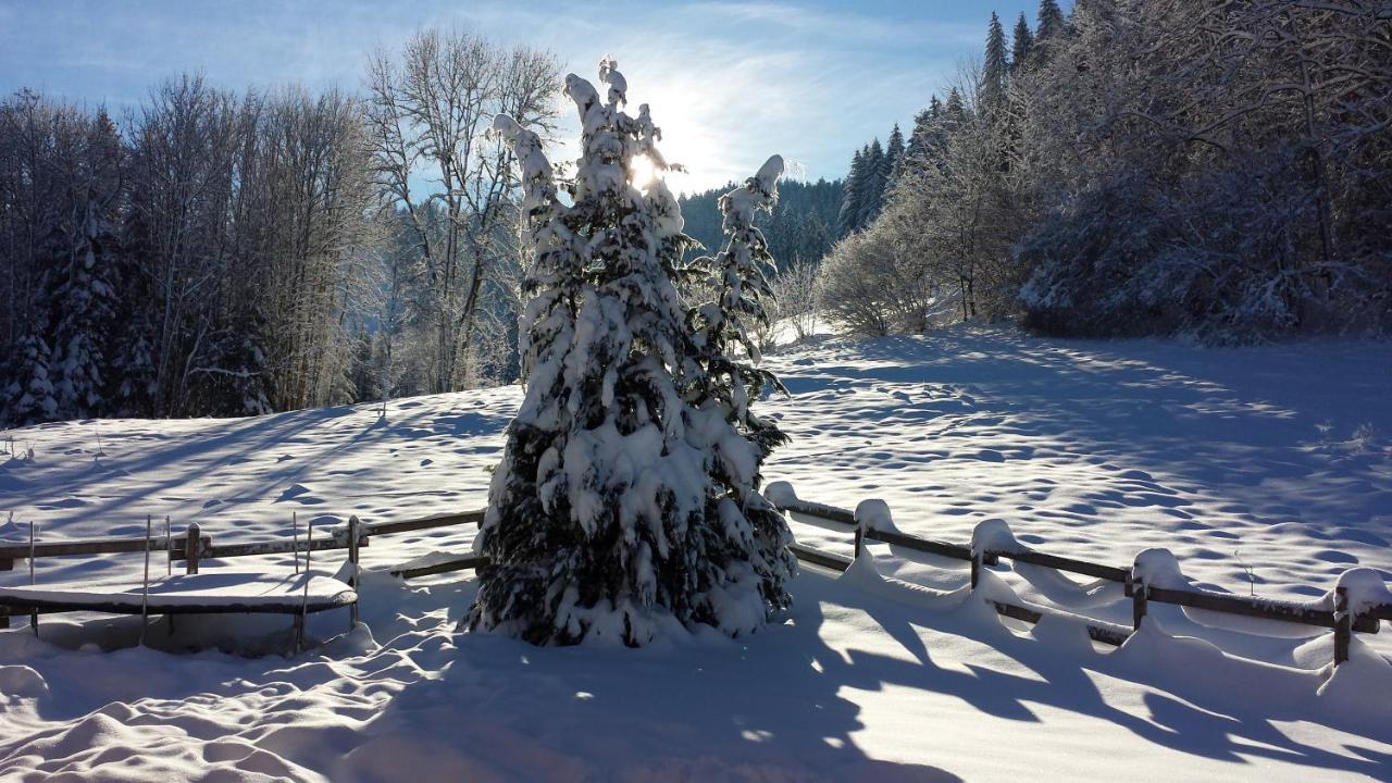 Le Bois Joli Chalet 4 Etoiles Cledicihome Cadre Paisible En Lisiere De Foret Gérardmer Εξωτερικό φωτογραφία