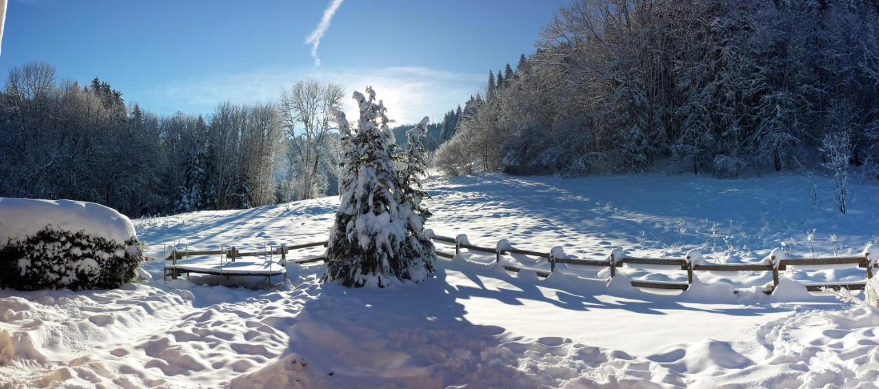 Le Bois Joli Chalet 4 Etoiles Cledicihome Cadre Paisible En Lisiere De Foret Gérardmer Εξωτερικό φωτογραφία